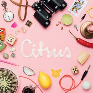 Animal Daydream - Citrus Ep