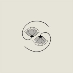 Godspeed You! Black Emperor - G_D's Pee At State's End!