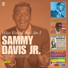 Sammy Davis Jr. - What Kind Of Fool Am I Joins Reprise