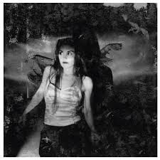 Killdeer Phoebe - Fade Out Line (Picture Disc) ryhmässä VINYYLI @ Bengans Skivbutik AB (4000371)