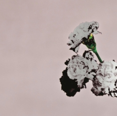 Legend John - Love In The Future (Special Edition)