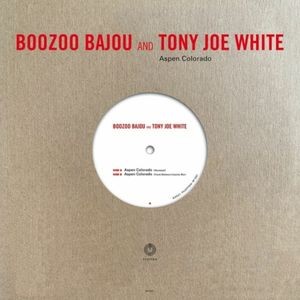 Boozoo Bajou & Tony Joe White - Aspen Colorado (10