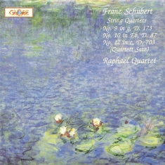 Jonas Kaufmann - String Quartet No.9 In G