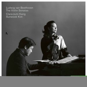 Beethoven Ludwig Van - The Violin Sonatas (4Cd)