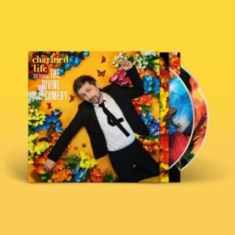 Divine Comedy - Charmed Life - The Best Of The Divi
