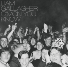 LIAM GALLAGHER - C MON YOU KNOW (VINYL)