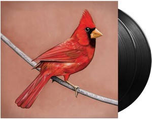 Alexisonfire - Old Crows / Young Cardinals