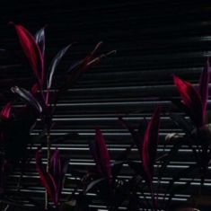 Fine Place - This New Heaven