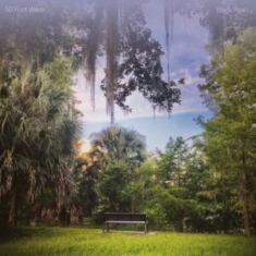 50 Foot Wave - Black Pearl (Blue)