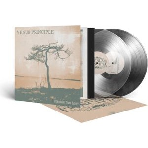 Venus Principle - Stand In Your Light (Crystal Clear)