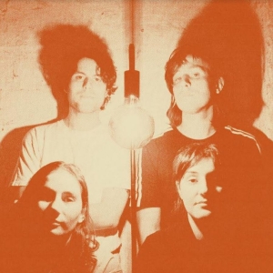 Stroppies The - Levity (Indie Exclusive, Clear Viny