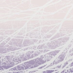 Bertucci Lea - Meta Aether/Resonant Field
