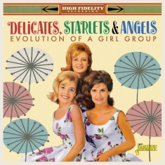 Delicates Starlets & Angels - Evolution Of A Girl Group