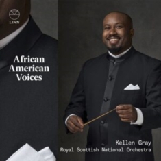 Dawson William Levi Still Willia - Dawson, Still & Walker: African Ame