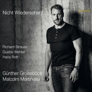 Rott Hans Strauss Richard - Rott & Strauss: Nicht Wiedersehen!