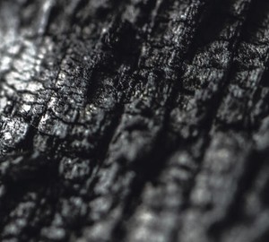 Parallel Worlds - Plector