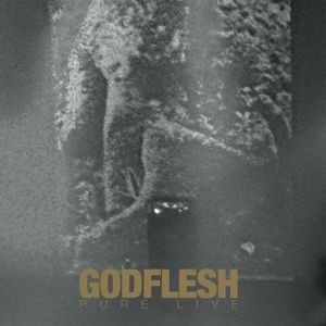 Godflesh - Pure: Live (2 Lp Splatter Vinyl)