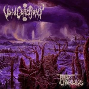 Voidceremony - Threads Of Unknowing (Vinyl Lp)
