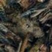 Hessian - Manegarmr ryhmässä VINYYLI @ Bengans Skivbutik AB (492209)