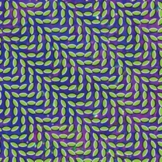 Animal Collective - Merriweather Post Pavillion
