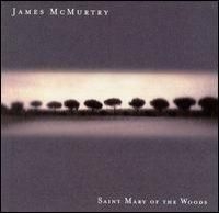 Mcmurtry James - Saint Mary Of The Woods ryhmässä CD @ Bengans Skivbutik AB (506751)