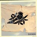 Bayside - Walking Wounded ryhmässä CD @ Bengans Skivbutik AB (530038)