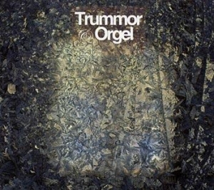 Trummor And Orgel - Visions