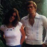Carpenters - Horizon ryhmässä Övrigt /  @ Bengans Skivbutik AB (544230)