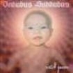 Inkubus Sukkubus - Witch Queen ryhmässä CD @ Bengans Skivbutik AB (549339)