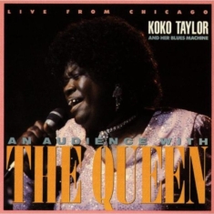 Taylor Koko - Live From Chicago - An Audience Wit