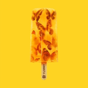 James - Yummy