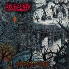 Sentenced - Shadows Of The Past (Vinyl Lp)
