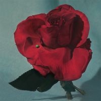 Metz - Up On Gravity Hill (Loser Edition Yellow Vinyl)