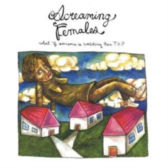Screaming Females - What If Someone Is Watching Their T