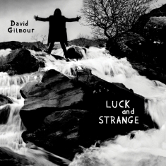 Gilmour David - Luck And Strange