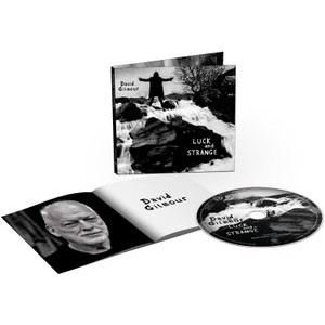 David Gilmour - Luck And Strange