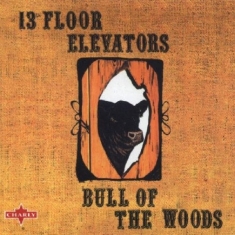 13Th Floor Elevators - Bull Of The Woods