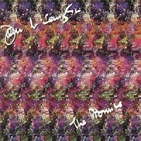 John McLaughlin - Promise ryhmässä Övrigt /  @ Bengans Skivbutik AB (554306)