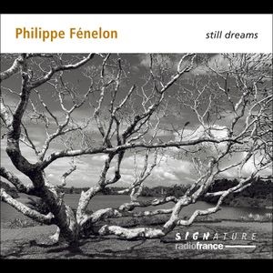Philippe Fenelon - Still Dreams