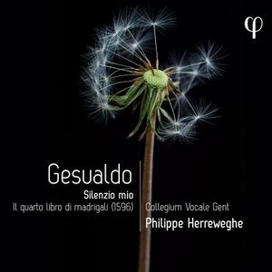 Collegium Vocale Gent Philippe Her - Gesualdo: Silenzio Mio - Il Quarto libro di madrigali