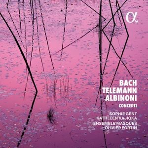 Ensemble Masques - Bach, Telemann & Albinoni: Concerti