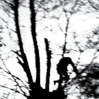 Cindytalk - Camouflage Heart (Ltd Transparent C