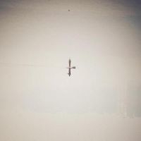 Naqvi Qasim - Endling (Translucent Vinyl)