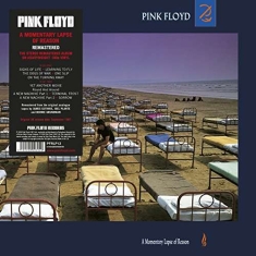 Pink Floyd - A Momentary Lapse Of Reason