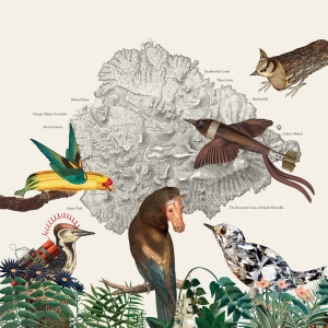 Friendly Rich - The Birds Of Marsville