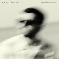New Street Adventure - What Kind Of World?