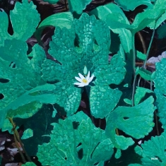 Early Fern - Wetland Interiors