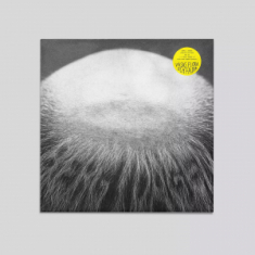 Vasas Flora Och Fauna - Berg I Dalen - Limited Edition (2Lp)