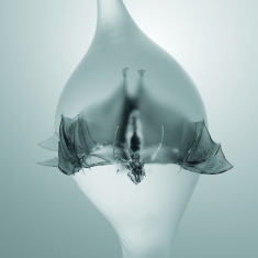 Unprocessed - Angel