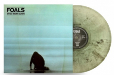 Foals - What Went Down (10Th Anniversary)